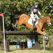 Oliver Townend and Cooley SRS,  7 YO Championships, Osberton 2014