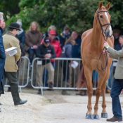 Oliver Townend and Armada