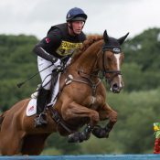 Oliver Townend  and  Fenyas Elegance