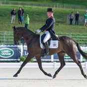 Oliver Townend (GBR) riding Black Tie  taking part in the Dressage Test