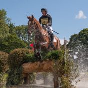 Oliver Townend (GBR) riding Fenyas Elegance