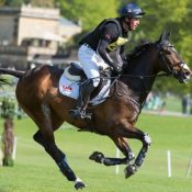 Oliver Townend (GBR) riding Samuel Thomas II